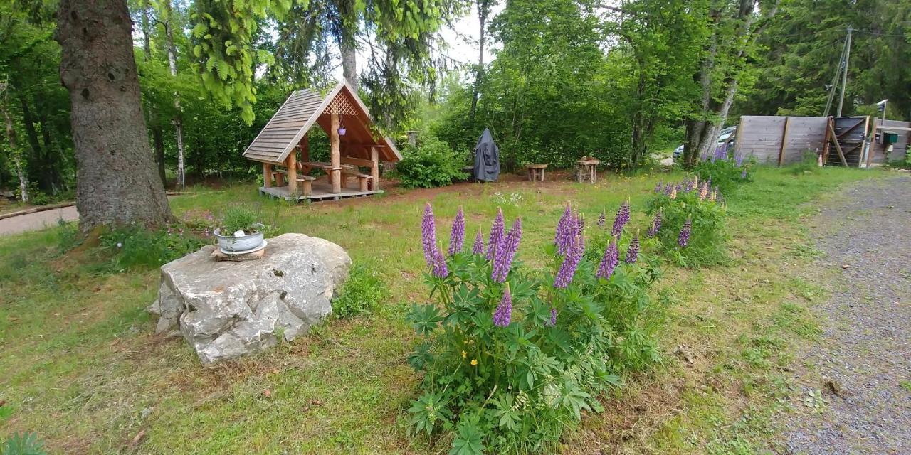 Chalet De Martimprey - Chalets - Gites - Chambres D' Hotes Et Spas Gerardmer Exterior photo